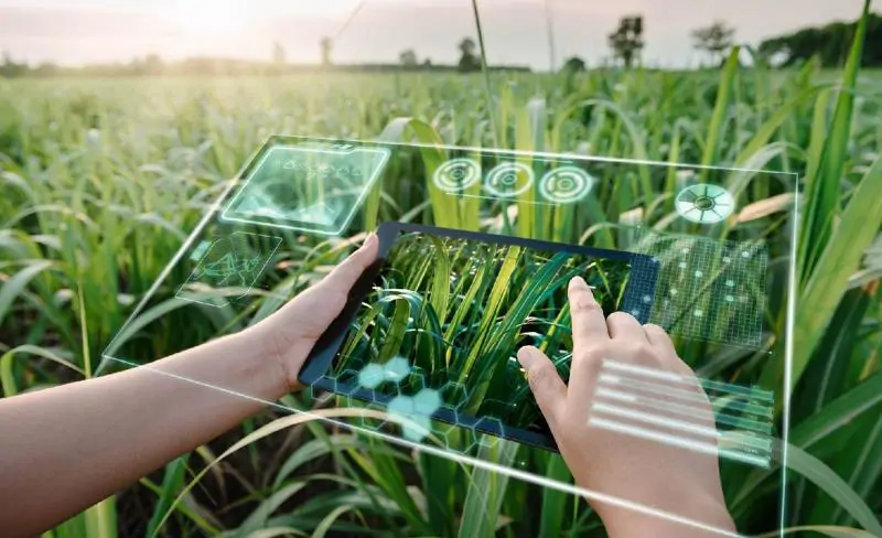 Vietnam's Digital Transformation in Agriculture